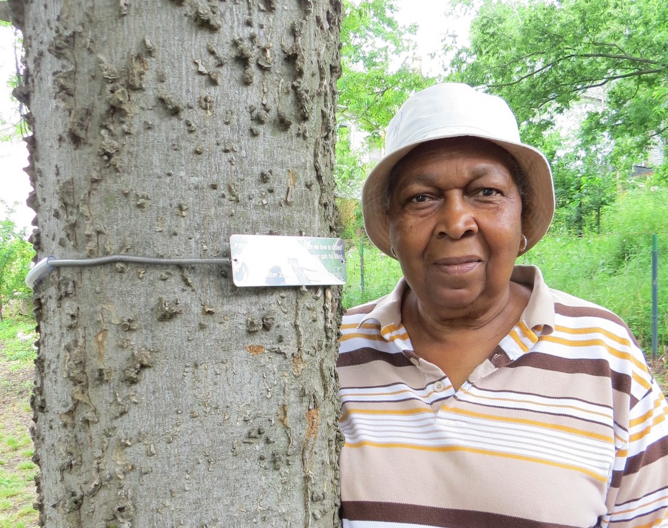 Community Garden co-founder Margaret Ballard with the tree memorial to  her mother, Elnora Bolden