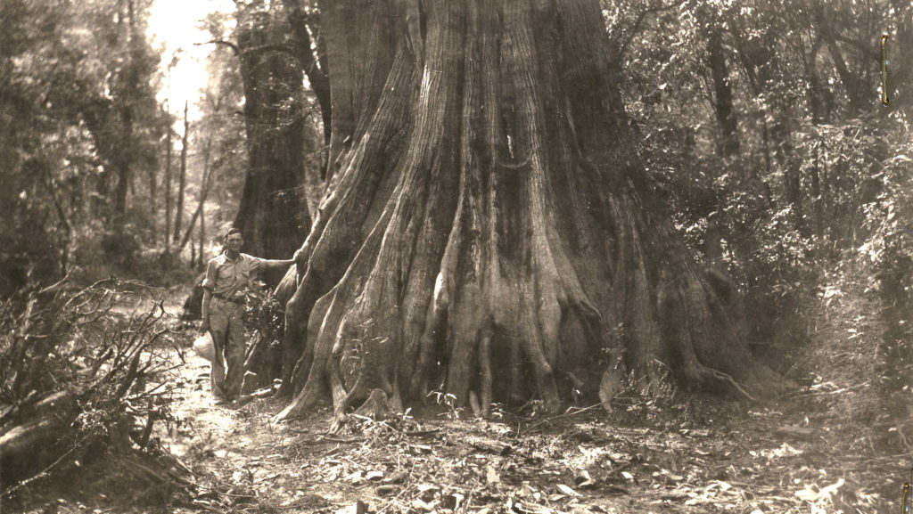 072 historic NWR pic man and cypress