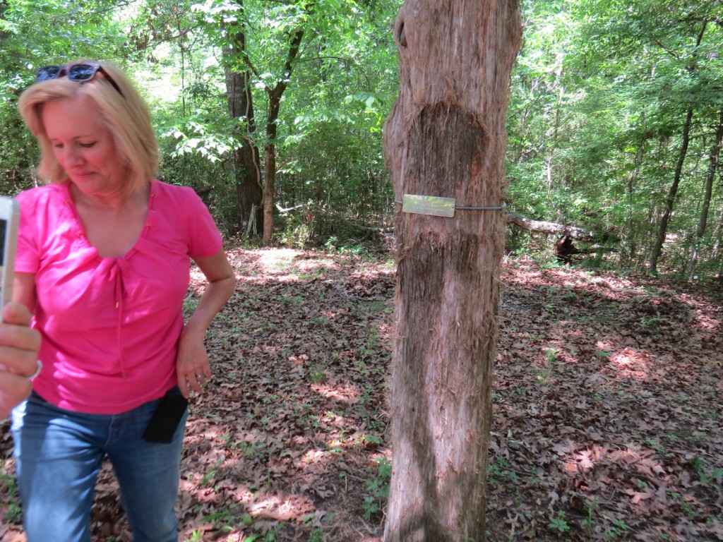 as Ann stepped away we saw an image on the trunk