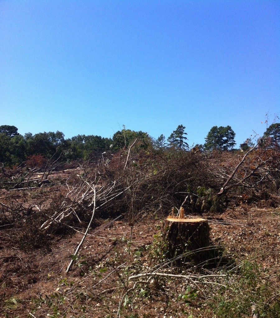 Garden City of the Natural State deserves better!