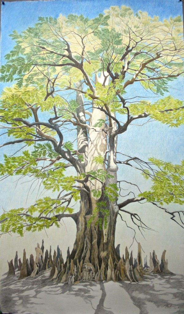 Champion Bald Cypress of Arkansas County, by Linda Williams Palmer